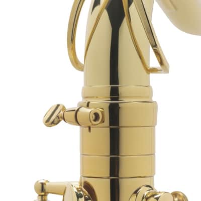 Selmer Paris 54 Axos Professional Tenor Saxophone image 5