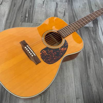 Tanglewood Sundance Historic TW40-O-AN, Hard Case 2010s image 5
