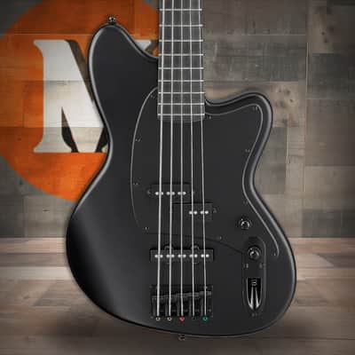 Ibanez Talman Bass Standard 5 String Electric Bass - Black Flat (TMB425BBKF) image 1