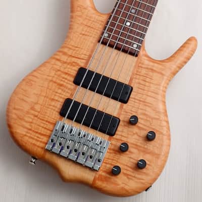 KEN SMITH BASSES, LTD. Black Tiger Elite BSR6TNE/BT6TNVE bass