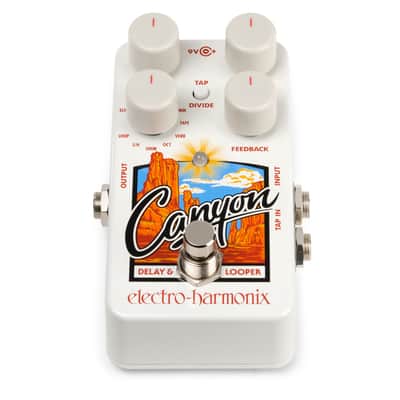 Electro-Harmonix Canyon Delay & Looper image 3
