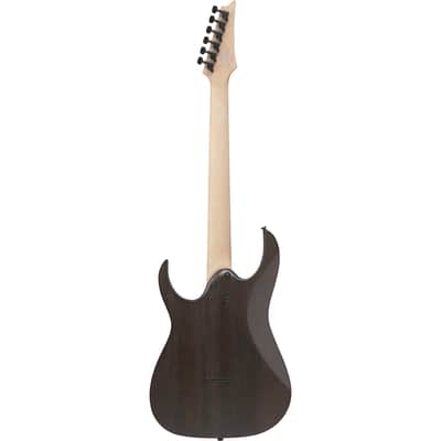 Ibanez RG Series RGR431PB Electric Guitar, Charcoal Gray Flat image 2