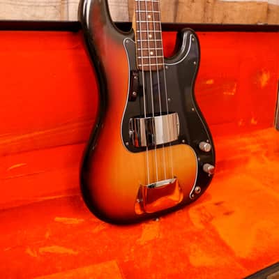 Fender Precision Bass 1974 Sunburst image 3