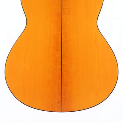 Alhambra Vilaplana 2021 Flamenco Guitar – Authentic Spanish Handmade Instrument Delivering Exceptional Playability and Lyrical Flamenco Sound - check video! image 6
