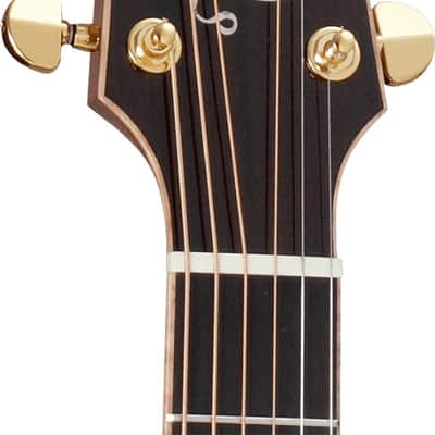 P7NC Takamine image 5