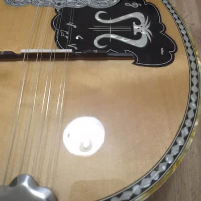 Greek Bouzouki & Hardcase & pickup & tuner & 300 MP3 backing track with pdf scores 8string image 4