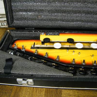 Paloma Shahi Baaja Electric Indian Instrument-Sun Araw Used-Sunburst Zither Sitar image 3