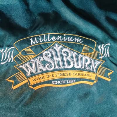 Washburn EA-2000 1999 - Natural image 18