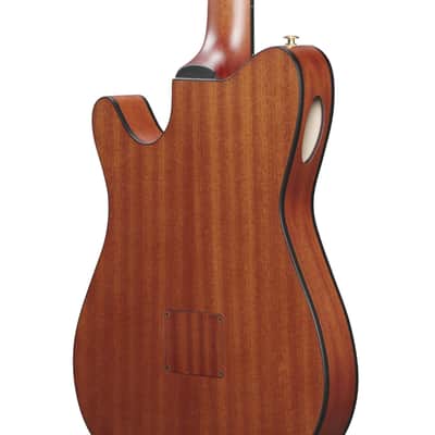 Ibanez FRH10N-RGF Rose Gold Metallic Flat + Nylon String Guitar + NEW image 7