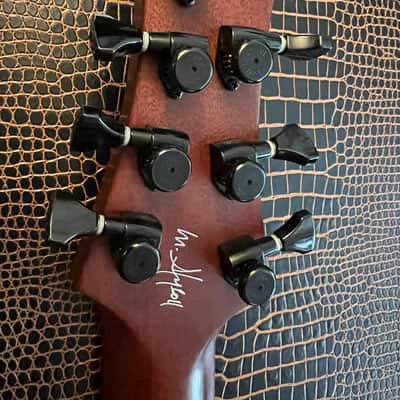 Artinger Custom 7 string semi hollow built for Chris Letchford Hawaiian Ice image 13