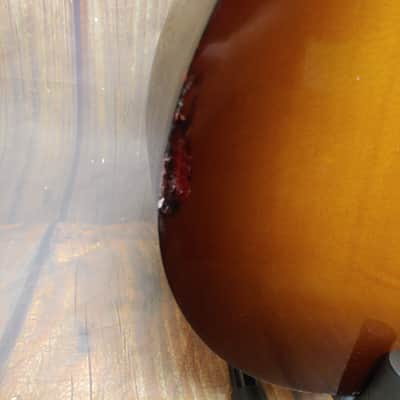 Mitchell Terra Series T311CE 2020s - Edge Burst image 7