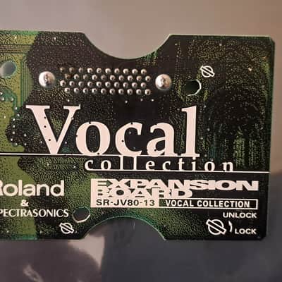 Roland SR-JV80-13 Vocal Collection Expansion Board, recapped image 1