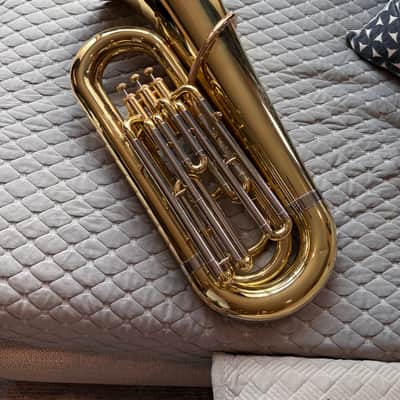 Andreas Eastman EBB-231 3/4 Tuba Rolling Cade and Moc image 2