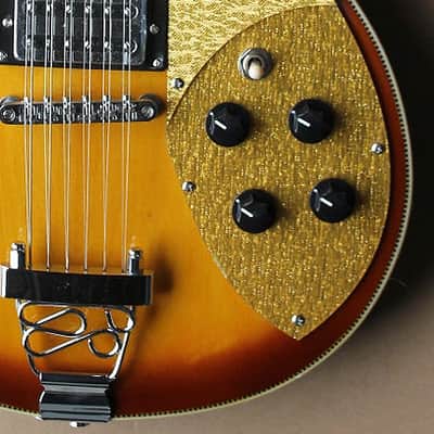 Fishbone FTP-BURG-12- String Electric Solid Body Guitar 2013 Burgundy Burst Make an Offer image 12