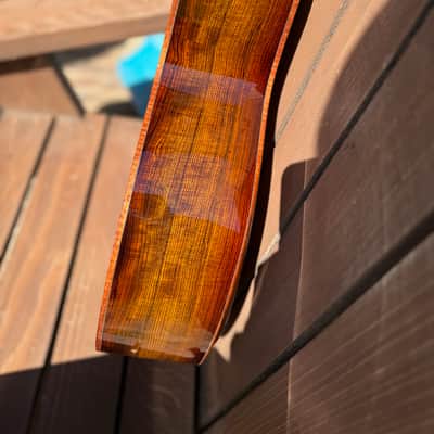 Taylor 2024 "Catch" Custom #27 Grand Auditorium Bearclaw Sitka/Bocote B4027 C14ce Acoustic-Electric Guitar w/HSC image 12