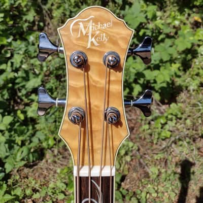 Michael Kelly Dragonfly 4 acoustic bass image 4