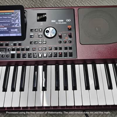 Korg PA1000 61-Key ✅ Professional Keyboard Arranger✅ Cleaned & Full Checked ✅ image 4