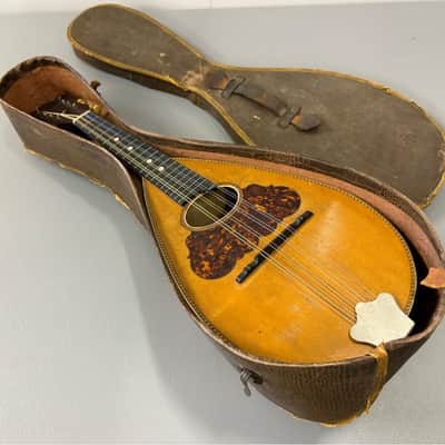 Washburn Bowl-Back Mandolin with Original Case, 1890s image 1
