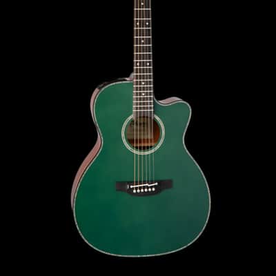 Takamine Limited Edition - Model LTD 2025 - Acoustic Guitar image 14