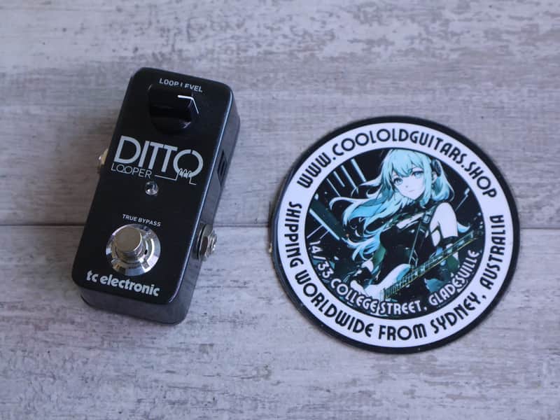 TC Electronics Ditto Looper image 1