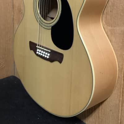 Alvarez 12 String image 4