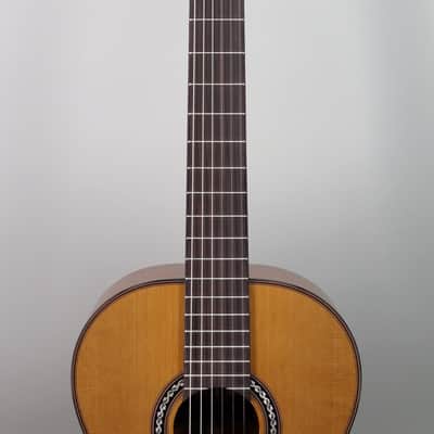 Cordoba C9 Cedar Top Nylon String image 3