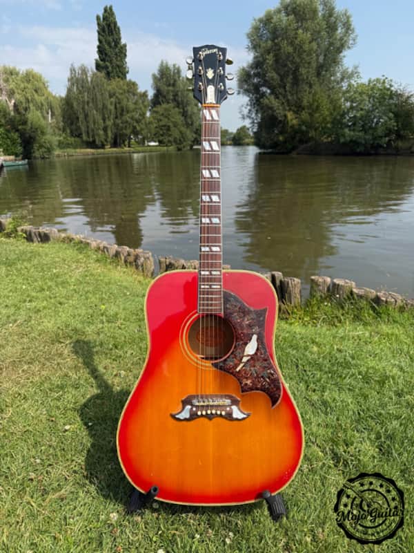 Gibson Dove