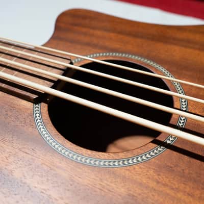 Gold Tone M-Bass23/FL Acoustic-Electric Fretless Bass Guitar image 3