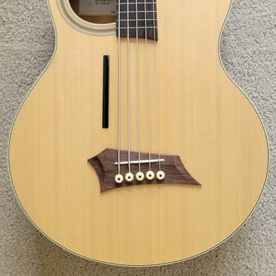Warwick RockBass Alien Standard 5 String Fretless Acoustic Electric Bass Guitar, Gig Bag image 2