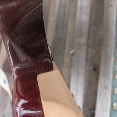 PRS SE Special - Swamp Ash image 11
