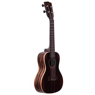 Kala KA-EBY-C Striped Ebony Concert Ukulele image 2