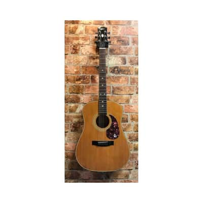 Epiphone PR 350 S Natural image 1