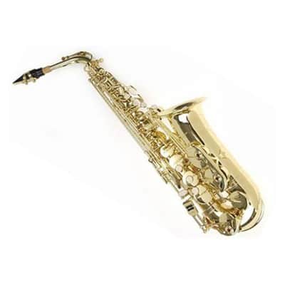 Sky Guarantee High Quality Sound E FLAT Gold Lacquer Alto Saxophone W High F# Key+light Weight Case image 1