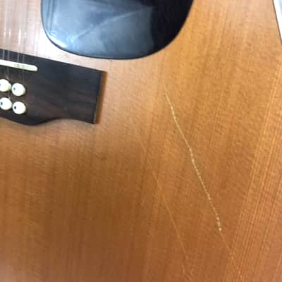 Seagull Coastline S12 Cedar 29358 12-String Acoustic Guitar image 4