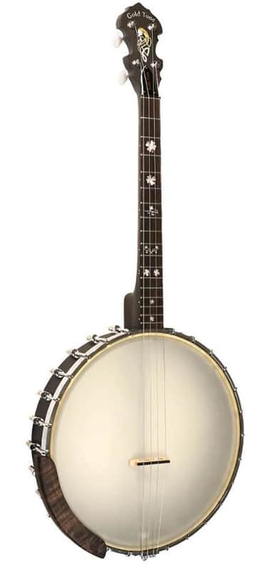 GOLD TONE IT-17 Irish Tenor Banjo image 1