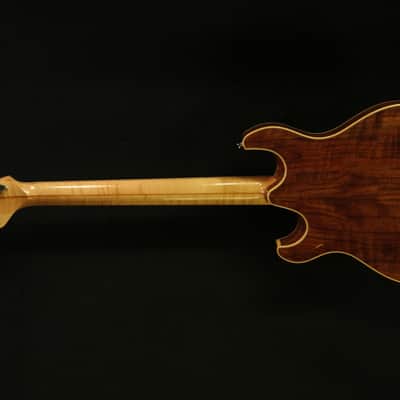 Paul Languedoc G2 2011 Claro Walnut image 2