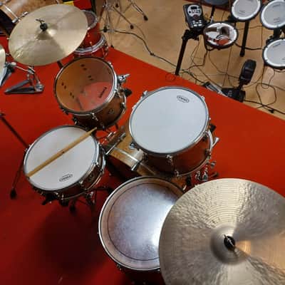 Sonor S Classix Shell Set Walnut Roots 2010's 2010's - Walnut Roots image 2