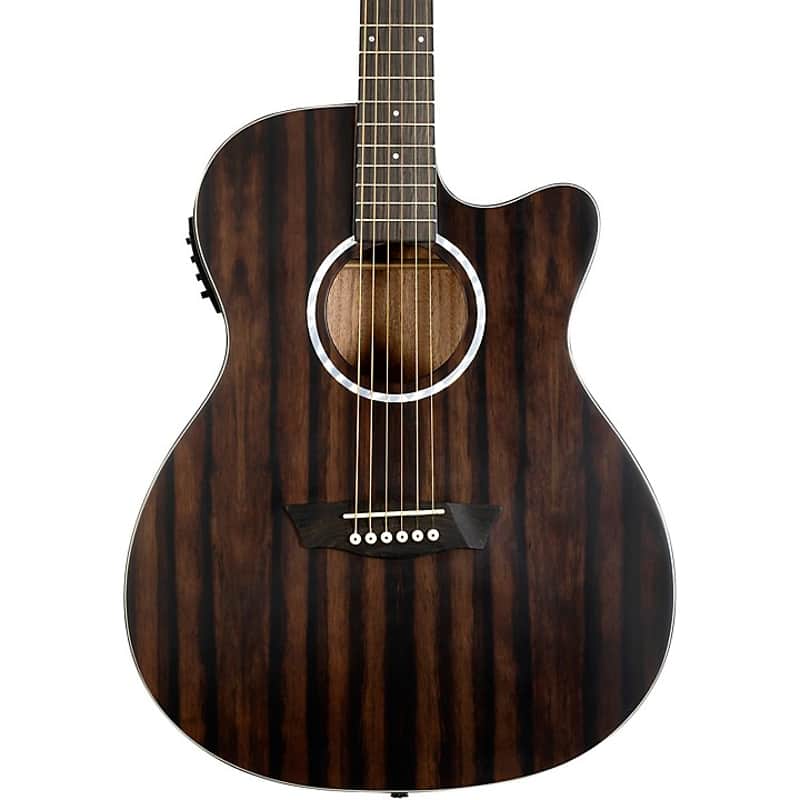 Washburn Deep Forest Ebony ACE Acoustic-Electric Guitar Natural Matte (B-Stock) image 1