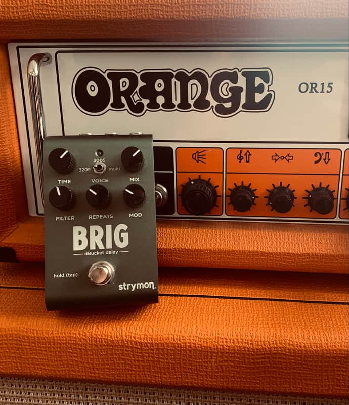 Strymon Brig dBucket Delay image 1