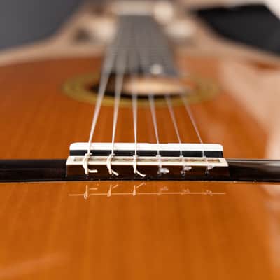 Yamaha GC42C - All Solid Classical Guitar - Cedar/Madagascar Rosewood - 2026 image 18