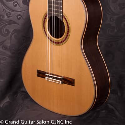 Otto Vowinkel 1A Concert Guitar , Cedar/Brazilian rosewood B & Sides image 8
