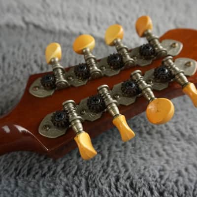 Venezia M-30 Hand Crafted Mandolin image 17