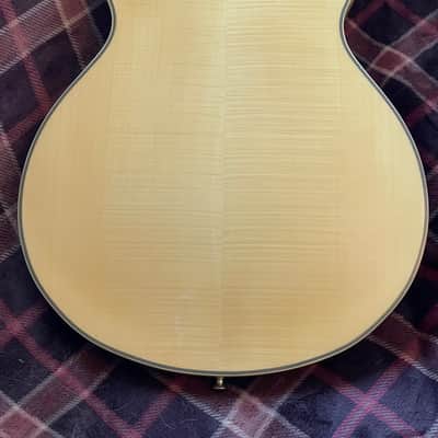 Agile AS820 12 String Semi-hollow Electric Guitar image 4