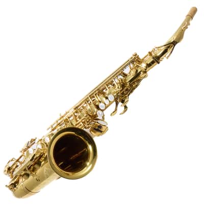 Eastman Model EAS650 'Rue Saint-Georges' Alto Saxophone SN A2440458 RENEWED image 19
