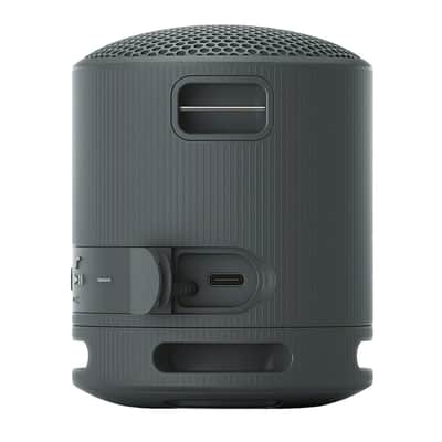 Sony SRS-XB100 Wireless Bluetooth Portable Speaker (Black) with Case Bundle image 6