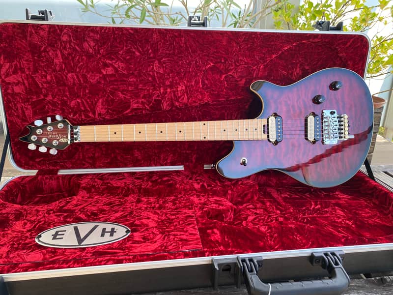 Evh Wolfgang Special stainless steel frets image 1
