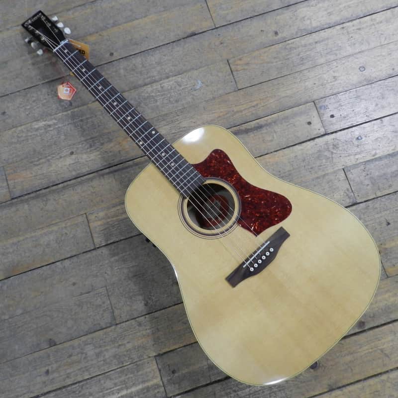 Norman B20 Natural GT Presys II SF image 1
