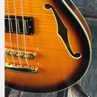 D'Angelico Bass EX-SS 2013 Left Hand Sunburst image 5