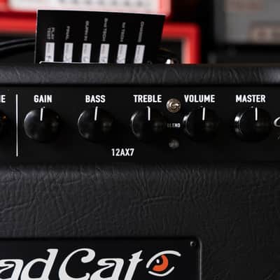Bad Cat Era 30 30-Watt Tube Amplifier Head image 4