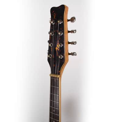 1960's Royal Artist Bruno Mandolin w/ OHSC image 7